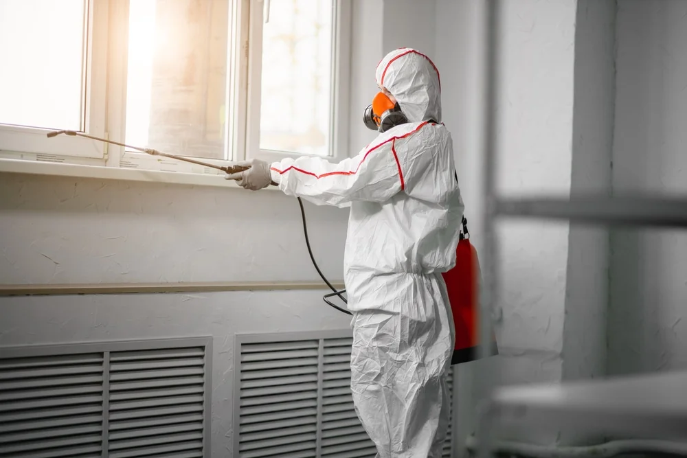 Professional mold remediation services in Eastaboga, AL